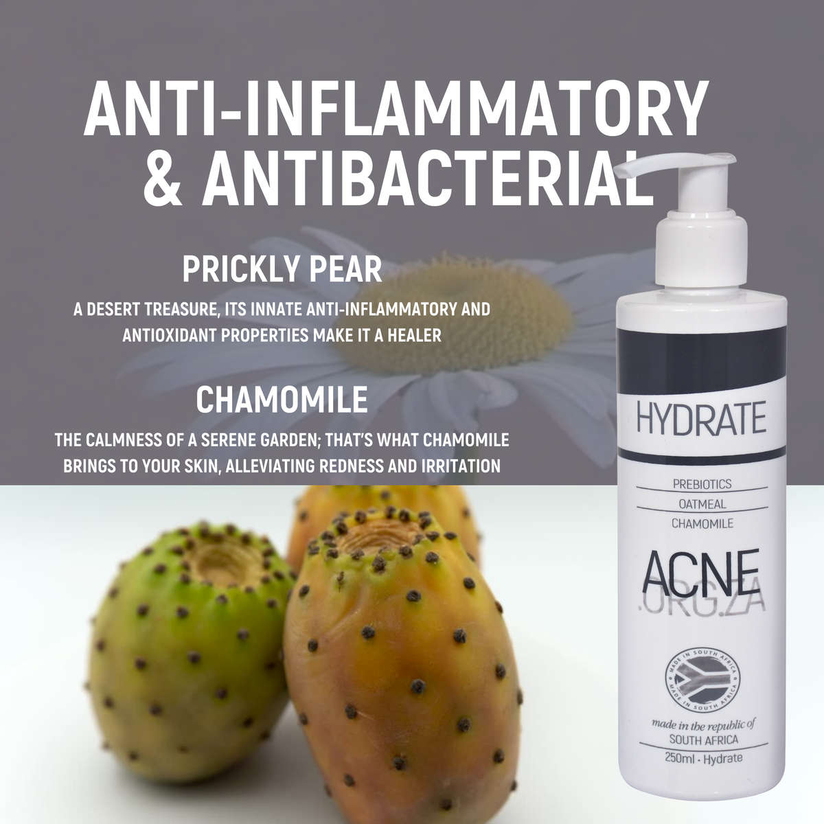 Acne.org.za - HYDRATE - Anti-inflammatory & Deep nourishing moisturiser