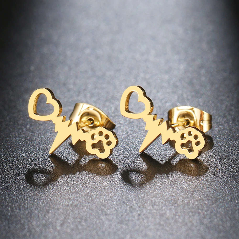 Mystery Box - Genuine Stainless Steel Earring - See description