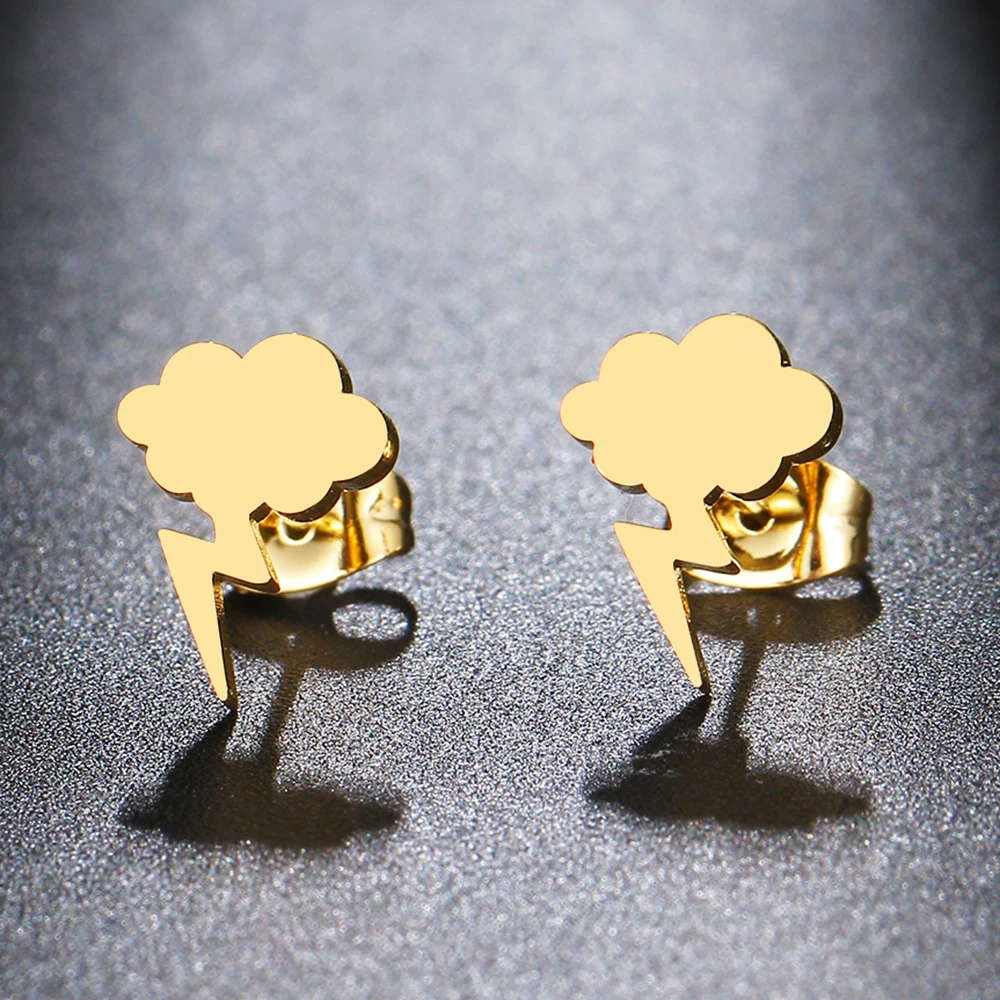 Mystery Box - Genuine Stainless Steel Earring - See description