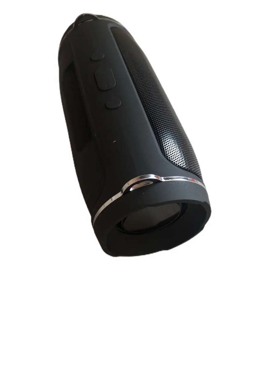 Charge Mini 4+ Portable Wireless Speaker