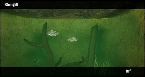 Reel Fishing: The Great Outdoors (PSP)