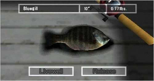 Reel Fishing: The Great Outdoors (PSP)