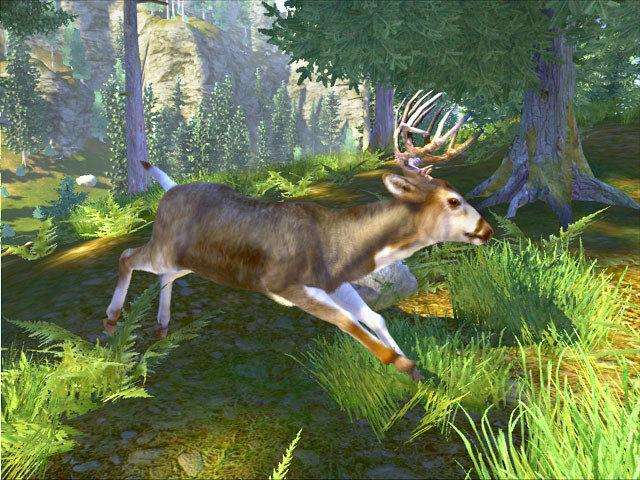 Cabela's Big Game Hunter (PlayStation 2)