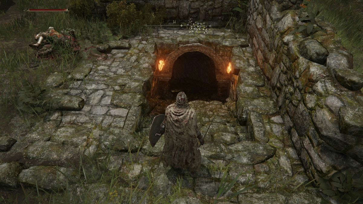 Elden Ring Shadow of the Erdtree Edition (PlayStation 5)