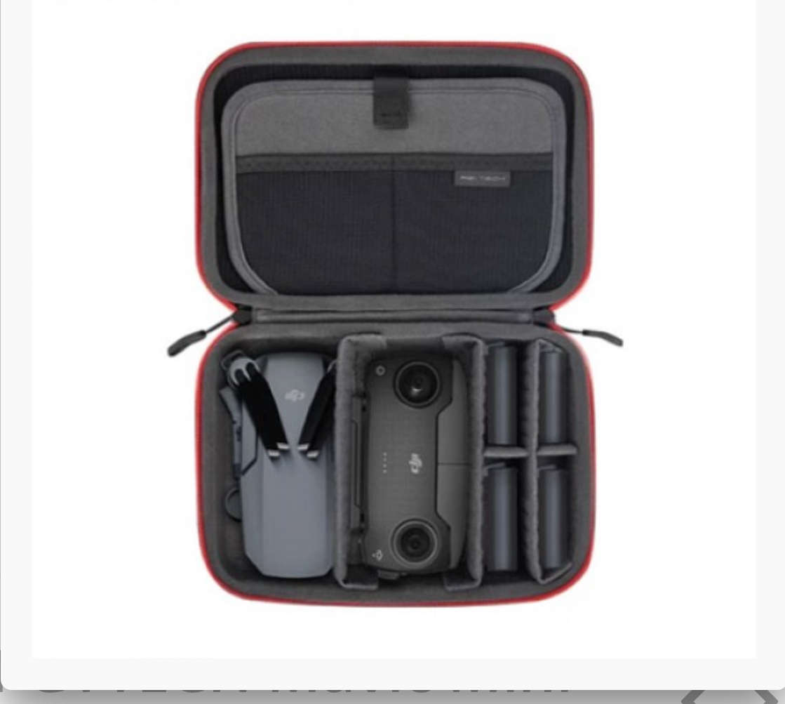 DJI Mavic Mini Carrying Case