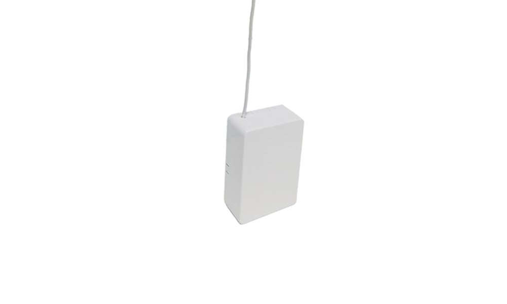 Limited Offer DS 2 channel receiver