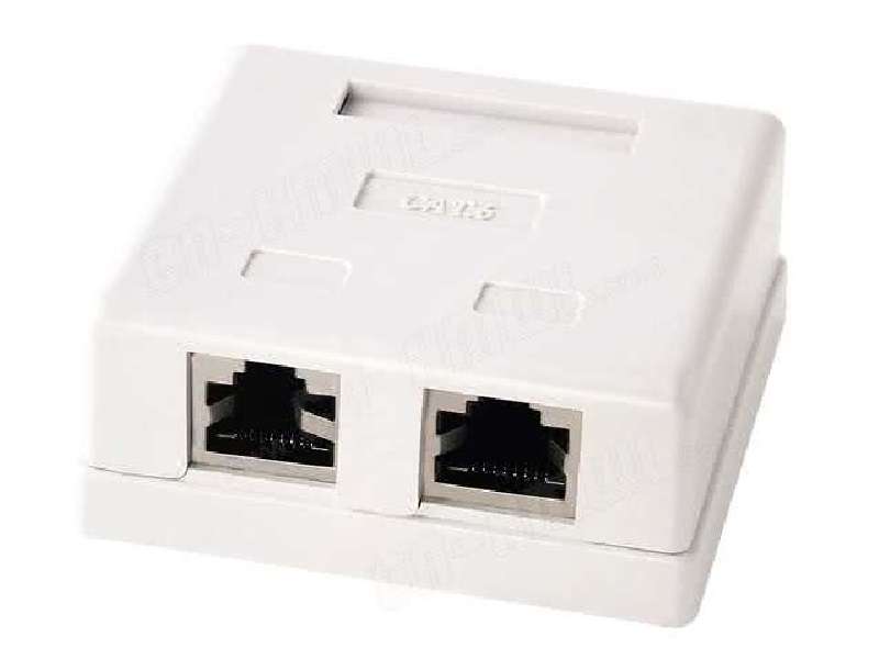 CAT6 Wall Box Dual Rj45