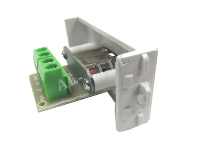 WALL Plug Socket Usb Female Over Cat6