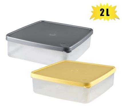 Container foodsaver 2l rectangular