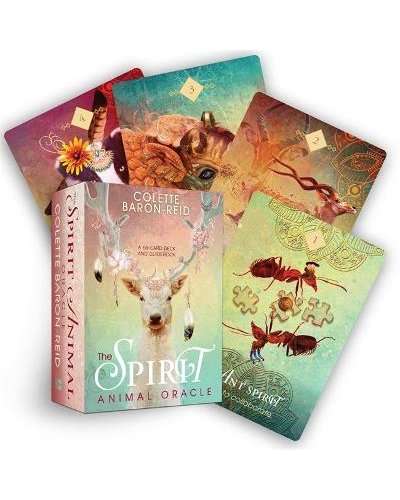 no - Colette Baron-Reid