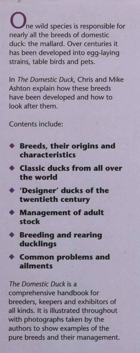 The Domestic Duck - Ashton, Chris; Ashton, Mike