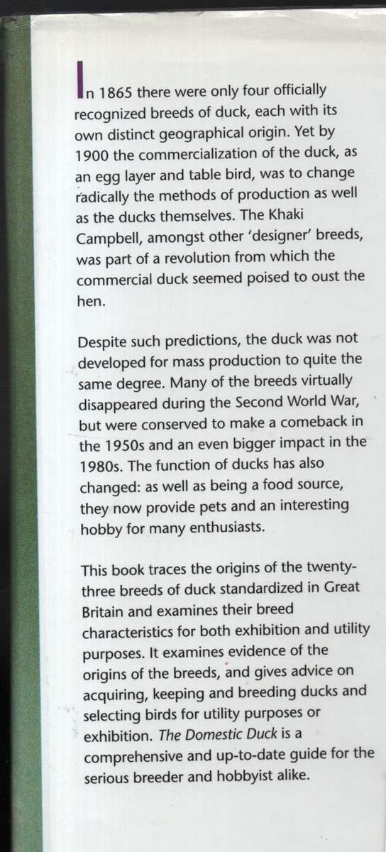 The Domestic Duck - Ashton, Chris; Ashton, Mike