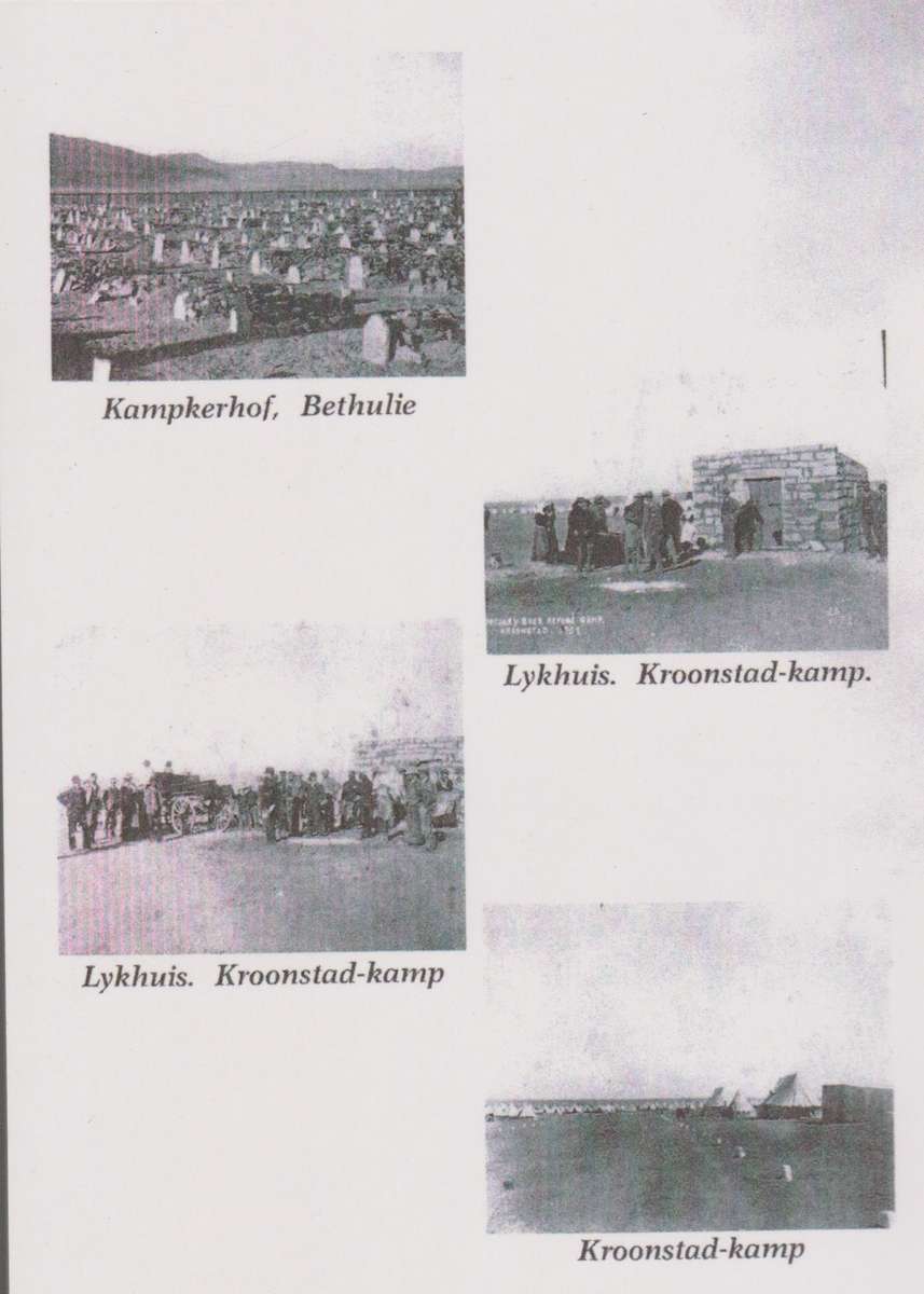 Stemme Uit die Vrouekampe - Postma, M. M.