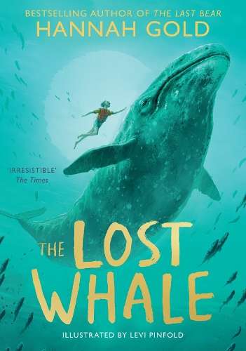 Lost Whale - N