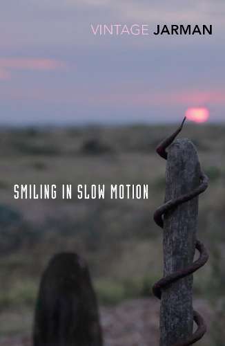 SMILING IN SLOW MOTION - JARMAN,D