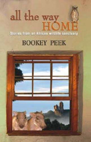 All the Way Home - Bookey Peek