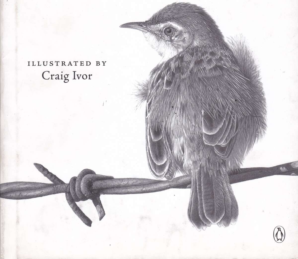 TAKEN CAPTIVE BY BIRDS SECONDHAND - POLAND,M