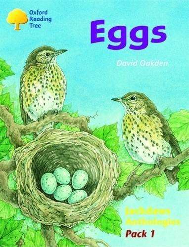JACKDAWS ANTH PACK OF 6 - OXFORD-READINGTREE