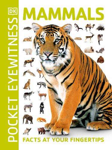 POCKET EYEWITNESS MAMMALS - DK