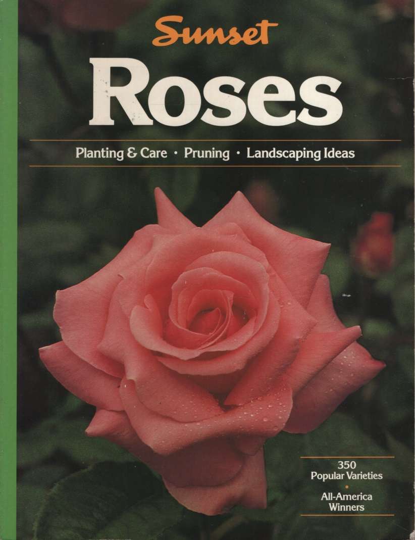 ROSES SC 2H SECONDHAND - SUNSET-EDINGER,P