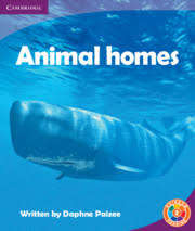 Animal Homes - Daphne Paizee