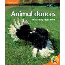 Animal Dances - Nicole Levin