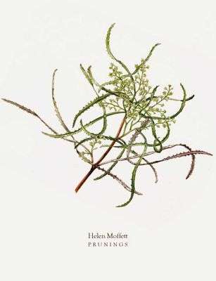 Prunings - Helen Moffett