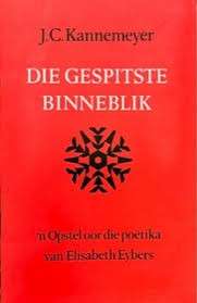 GESPITSTE BINNEBLIK - KANNEMEYER,J
