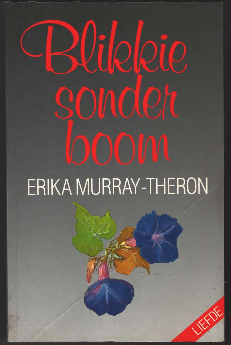 BLIKKIE SONDER BOOM 2H SECONDHAND - THERON