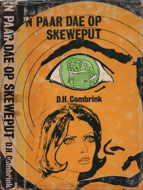 PAAR DAE OP SKEWEPUT SECONDHAND - COMBRINK,D