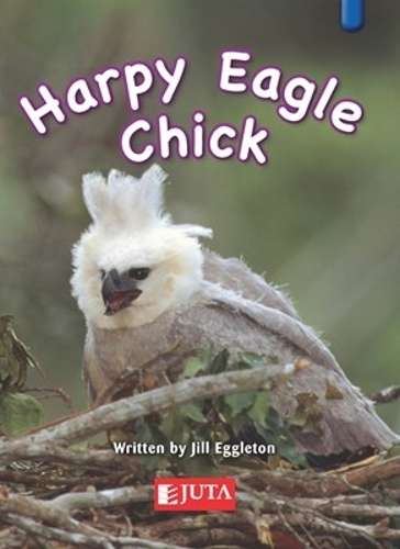Harpy eagle chick: Blue: Gr 2 - JUTA-GRADE2