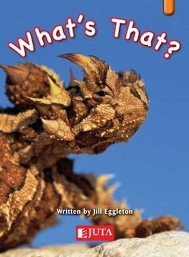 What's That?: Gr 3 - 4 Orange - X