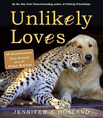 Unlikely Loves - Jennifer Holland