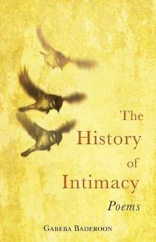 The history of intimacy - Gabeba Baderoon