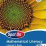 SPOT ON MATH LIT GR 11 LB SECONDHAND - MATHSLIT-GR11