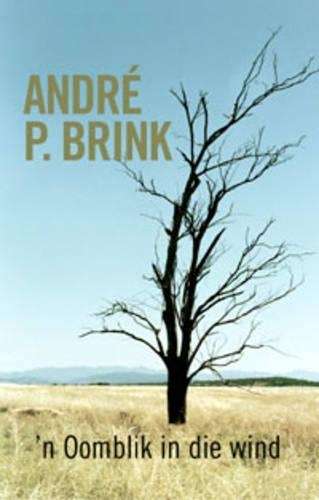 n Oomblik in die wind - Andre P. Brink