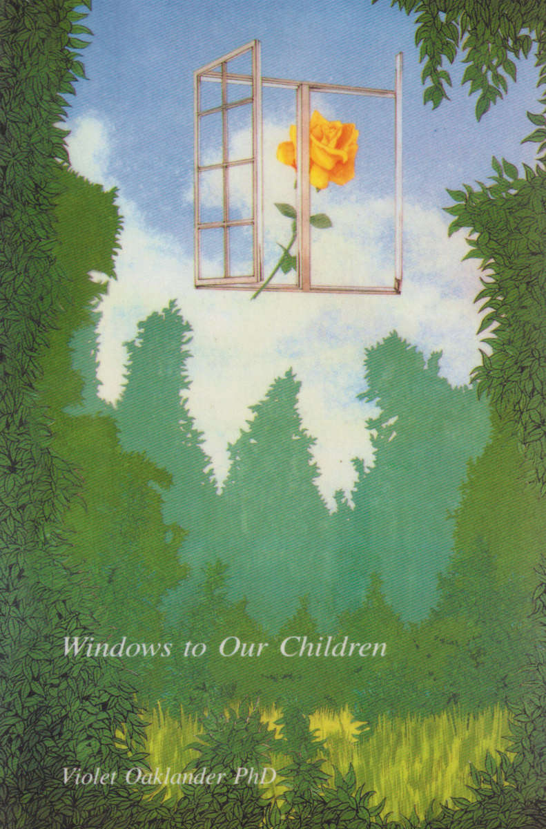 Windows to Our Children - Violet Oaklander