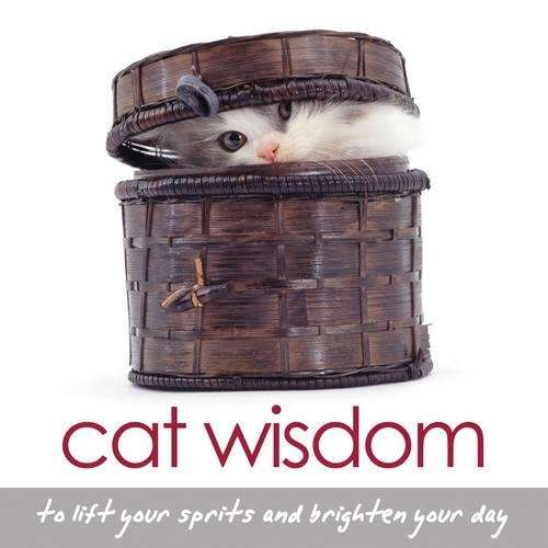 CAT WISDOM - SALERNO,T