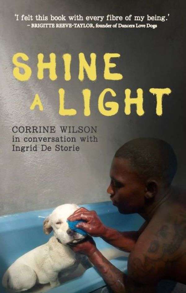 SHINE A LIGHT - WILSON,C