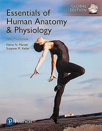 ESSENTIALSOF HUMAN ANATOMY & PHYSOLOGY 2 SECONDHAND - MARIEB,E