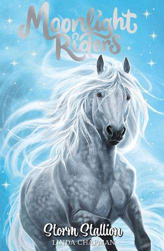 Moonlight Riders: Storm Stallion: Book 2 - Linda Chapman