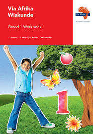 Via Afrika wiskunde: Gr 1: Workbook - L. Cameron