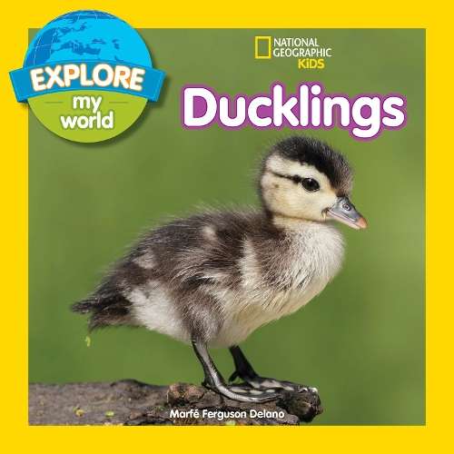 Explore My World: Ducklings - Marfe Ferguson Delano
