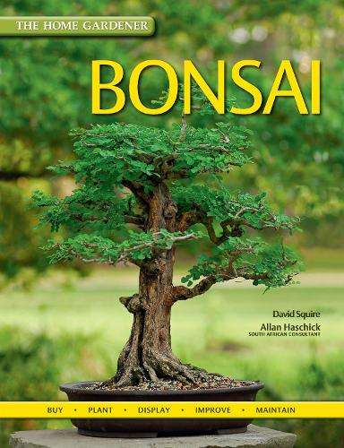 Bonsai - SQUIRE,D