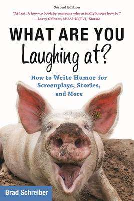 What Are You Laughing At? - Brad Schreiber