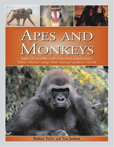Apes and Monkeys - Barbara Taylor