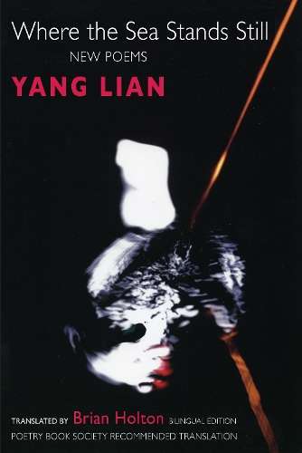 Where the Sea Stands Still - Lian Yang