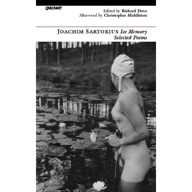 Ice Memory - Joachim Sartorius