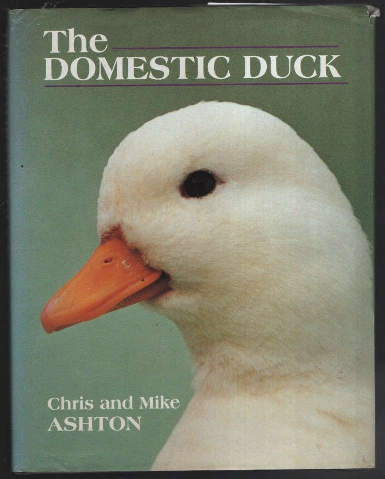 The Domestic Duck - Ashton, Chris; Ashton, Mike
