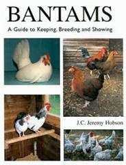 Bantams A Guide to Keeping Breeding and Showing - Jeremy Hobson